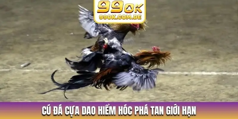 Cú đá cựa dao hiểm hóc phá tan giới hạn